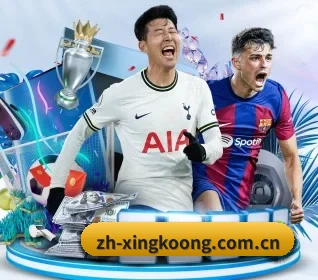 zh-xingkoong.com.cn的方向（xingkong）